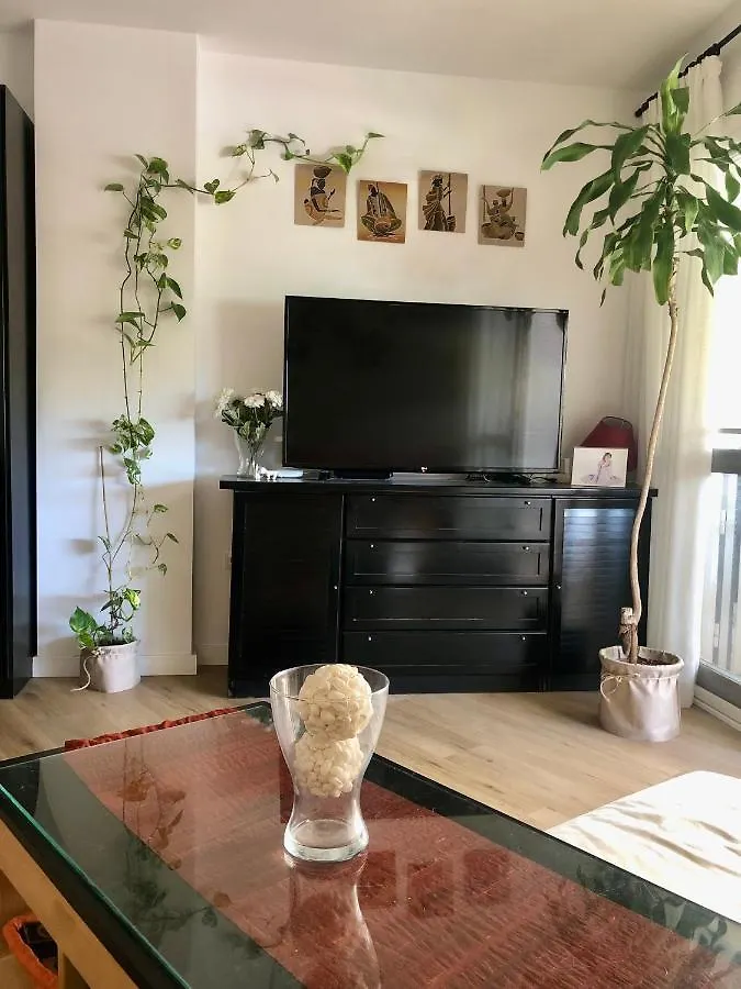 Habitacion Con Smart Tv En Piso Compartido Con Bano Privado O Compartido Malaga Sol Homestay